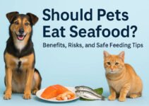 Should Pets Eat Seafood? Safety, Benefits & Risks Explained