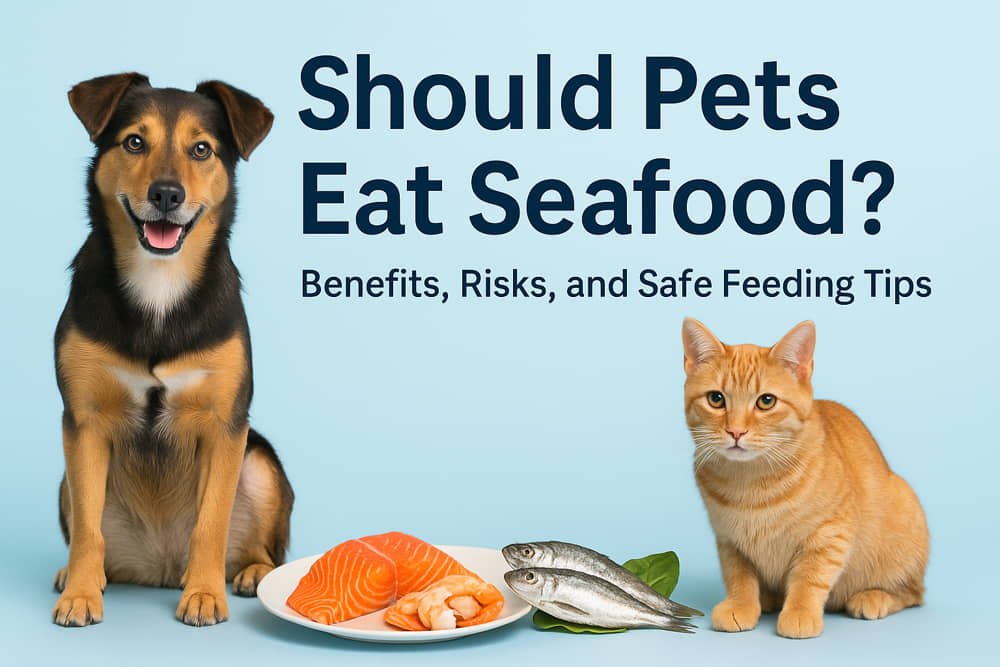 Should pets eat seafood