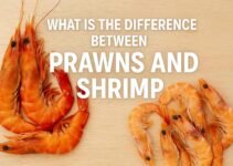 What Is the Difference Between Prawns and Shrimp? Complete Guide